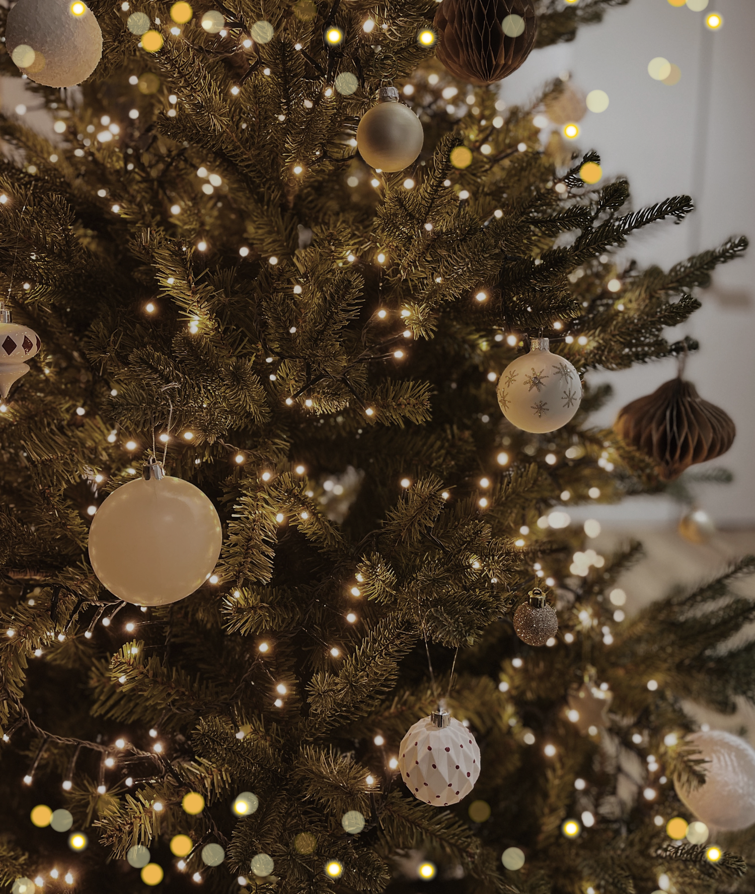 Premium Christmas Gifts for Families＊$100-$200